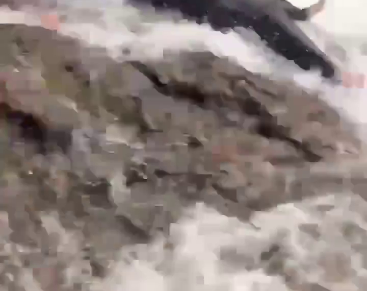 Турист загинув, зірвавшись з 20-метрового водоспаду: друзі зняли жахливий момент