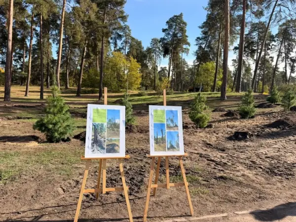 Понад сотню сосен висадили у парку «Партизанська слава» на місці зруйнованих обстрілами. 5