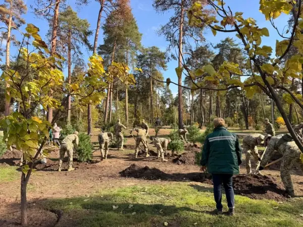 Понад сотню сосен висадили у парку «Партизанська слава» на місці зруйнованих обстрілами. 6