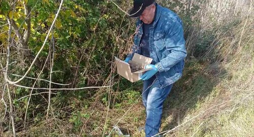 Харківщина розпочала осінню кампанію вакцинації диких тварин від сказу