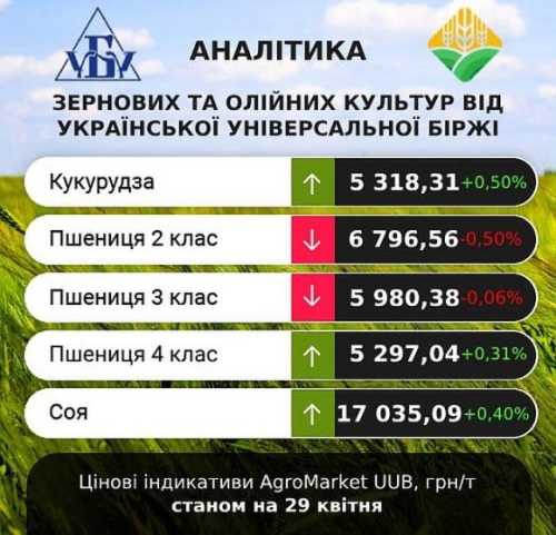 Аналітики прогнозують незначне укріплення цін на зернові та олійні - INFBusiness