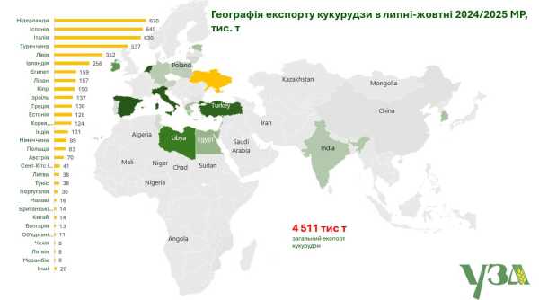 Китай не поспішає купувати українську кукурудзу - INFBusiness