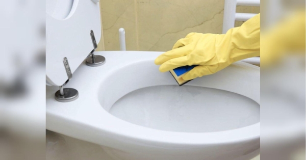 Домогосподарка Марина Жукова, яка запропонувала вже безліч дієвих засобів для чищення сантехніки, розповіла, як прибрати забруднення не тільки в чаші унітаза, а й глибоко під ободком. Не лише у чаші унітазу! Експертка з чистоти звернула увагу на місце, де накопичуються бактерії та бруд - INFBusiness